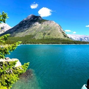 Meet your Posher, Janet